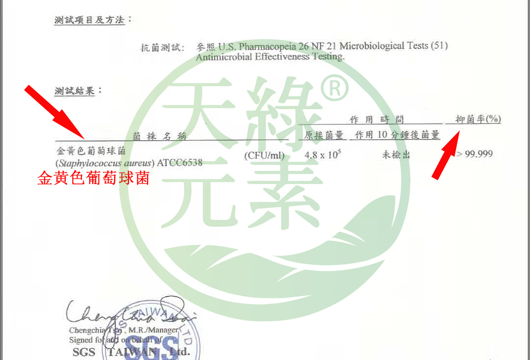 金黃色葡萄球菌.jpg 金黃色葡萄球菌.jpg